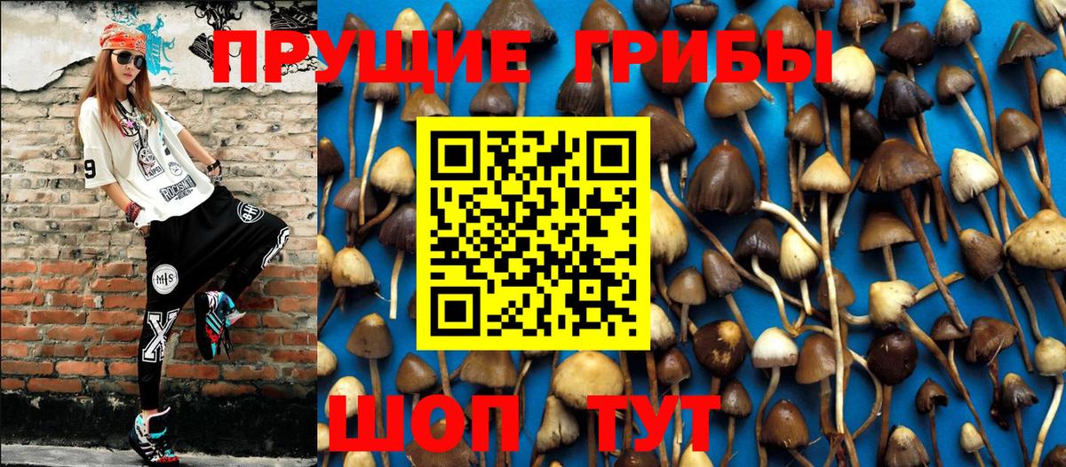 Псилоцибиновые грибы GOLDEN TEACHER Наро-Фоминск